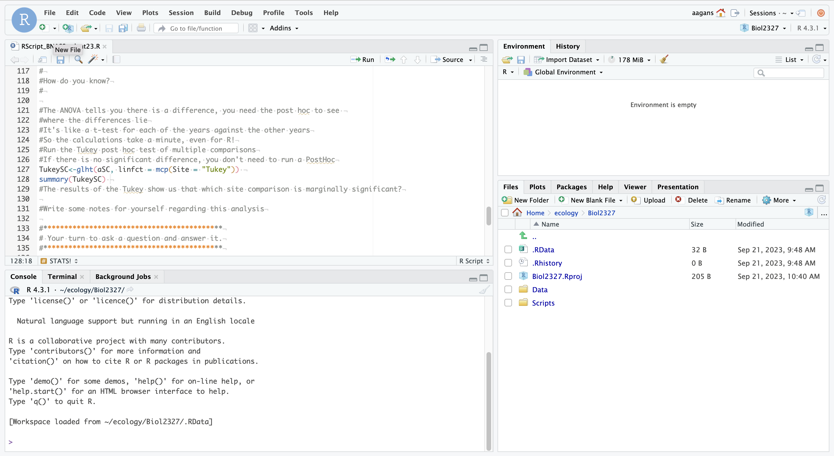 Screenshot of the RStudio interface accessible from the Bowdoin RStudio server